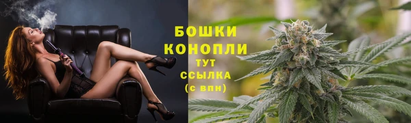 стафф Белокуриха