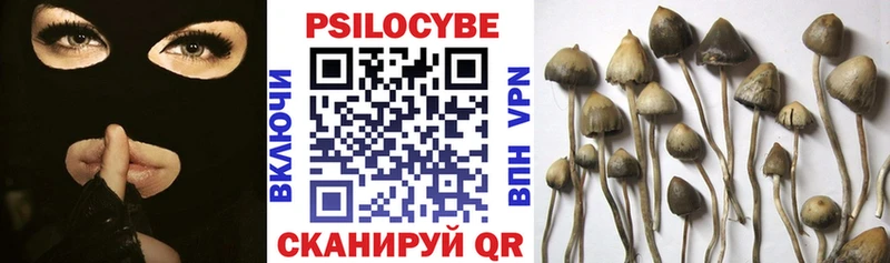 Купить где  Асино  Псилоцибиновые грибы мицелий 